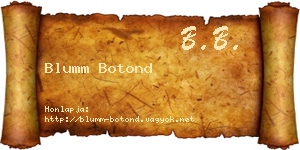 Blumm Botond névjegykártya